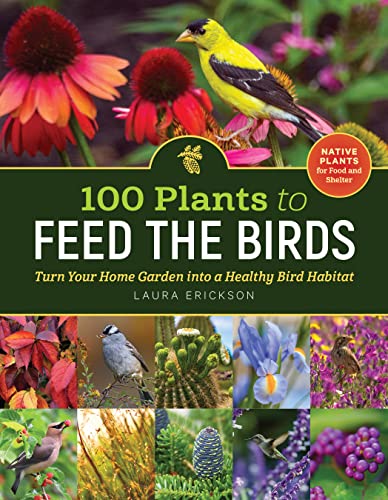 Imagen de archivo de 100 Plants to Feed the Birds: Turn Your Home Garden into a Healthy Bird Habitat a la venta por Bookoutlet1