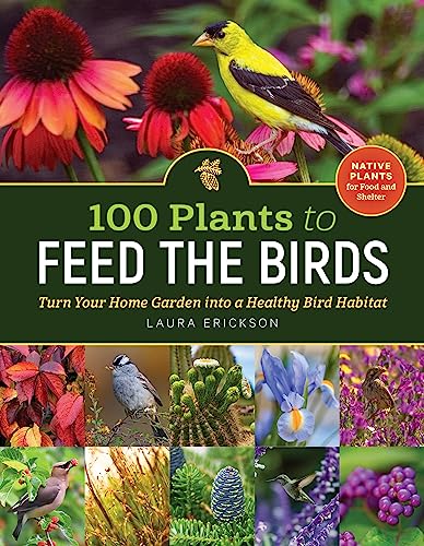 Stock image for 100 Plants to Feed the Birds: Turn Your Home Garden into a Healthy Bird Habitat for sale by Bookoutlet1