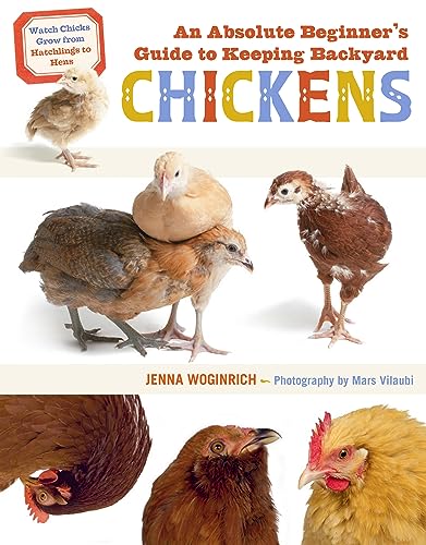 Stock image for An Absolute Beginner's Guide to Keeping Backyard Chickens: Watch Chicks Grow from Hatchlings to Hens for sale by ThriftBooks-Atlanta