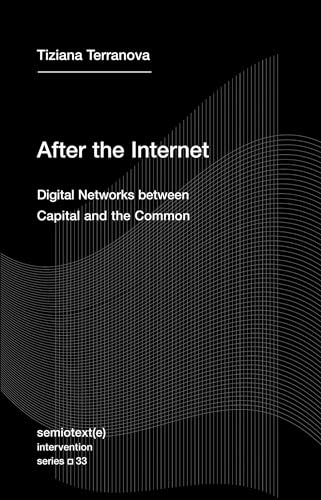 Beispielbild fr After the Internet: Digital Networks between Capital and the Common (Semiotext(e) / Intervention Series) zum Verkauf von BooksRun