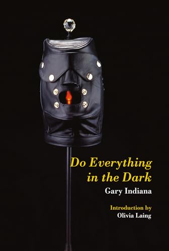 Imagen de archivo de Do Everything in the Dark [Paperback] Indiana, Gary and Laing, Olivia a la venta por Lakeside Books