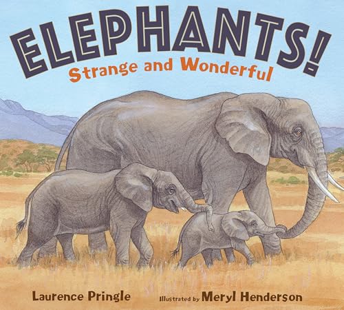 9781635924794: Elephants!: Strange and Wonderful