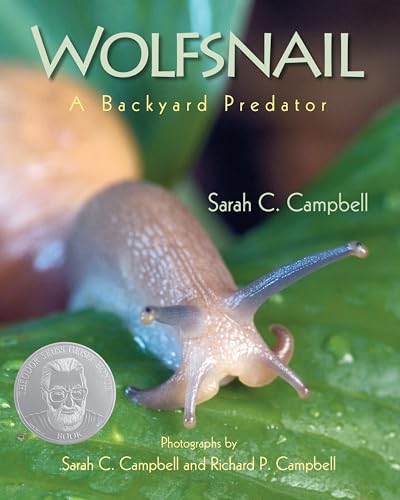 Imagen de archivo de Wolfsnail: A Backyard Predator a la venta por BookOutlet