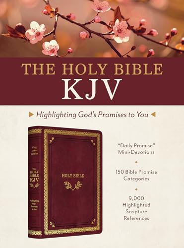 Beispielbild fr The Holy Bible KJV: Highlighting God's Promises to You [Crimson &amp; Gold] zum Verkauf von Blackwell's