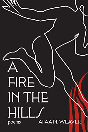 Beispielbild fr A Fire in the Hills zum Verkauf von ThriftBooks-Atlanta
