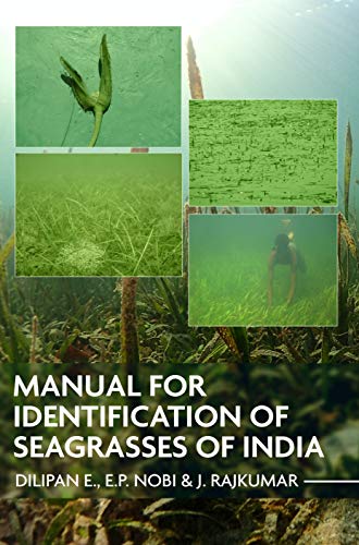 Stock image for Manual for Identification of Seagrasses of India for sale by GF Books, Inc.