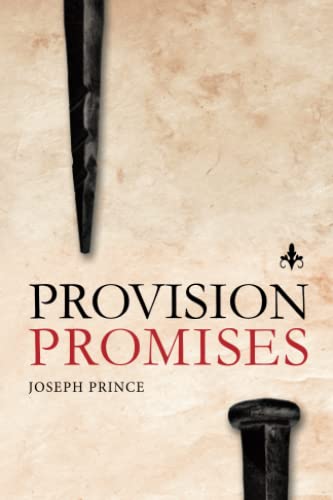 9781636410340: Provision Promises
