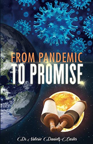 Beispielbild fr From Pandemic to Promise zum Verkauf von BooksRun
