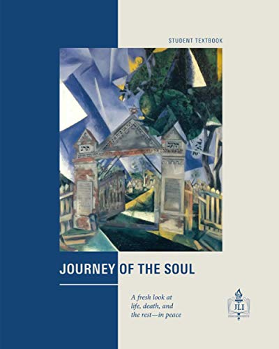 Imagen de archivo de Journey of the Soul: A Fresh Look at Life, Death, and the Rest?in Peace a la venta por Books of the Smoky Mountains