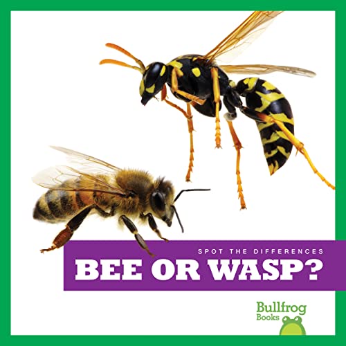 Stock image for Bee or Wasp? (Bullfrog Books: Spot the Differences) for sale by Books Unplugged