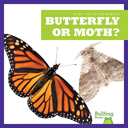 9781636903415: Butterfly or Moth? (Bullfrog Books: Spot the Differences)