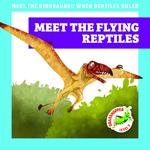Stock image for Meet the Flying Reptiles for sale by GreatBookPrices