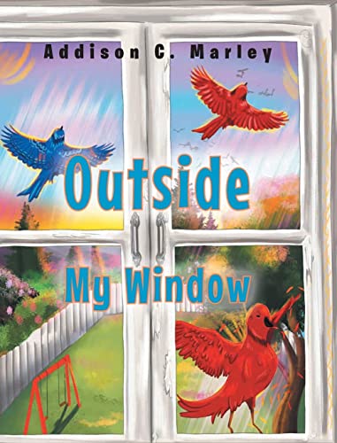 Stock image for Outside My Window for sale by HPB-Ruby