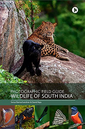 Stock image for Photographic Field Guide - Wildlife of South India for sale by Lucky's Textbooks