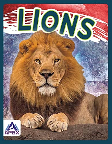 9781637380680: Lions (Wild Cats)