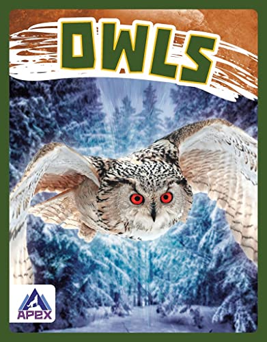 Stock image for Owls for sale by ThriftBooks-Dallas