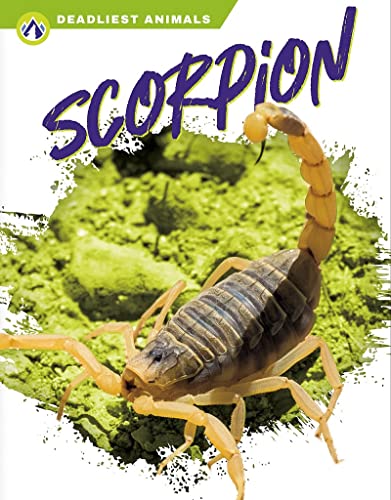 Stock image for Scorpion (Deadliest Animals) for sale by GF Books, Inc.