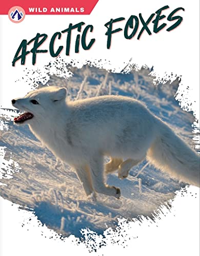 Imagen de archivo de Arctic Foxes a la venta por ThriftBooks-Atlanta