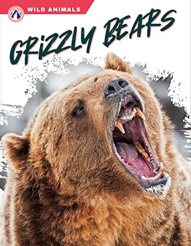 9781637384695: Grizzly Bears (Wild Animals)