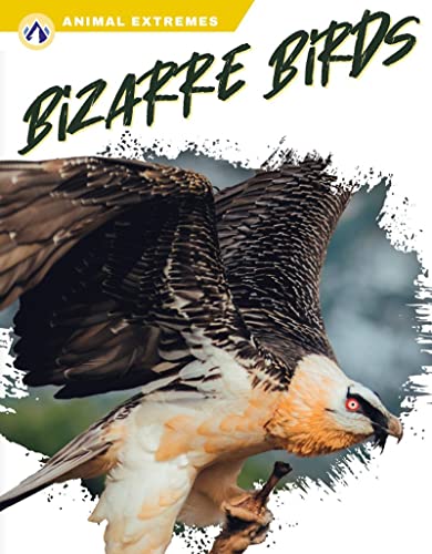 Imagen de archivo de Bizarre Birds a la venta por ThriftBooks-Dallas