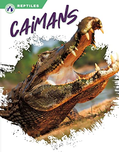 Immagine dell'editore per Caimans venduto da Kennys Bookshop and Art Galleries Ltd.