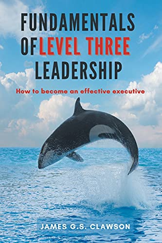 Imagen de archivo de Fundamentals of Level Three Leadership: How to Become an Effective Executive a la venta por suffolkbooks