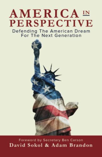 Imagen de archivo de America in Perspective: Defending the American Dream for the Next Generation a la venta por SecondSale