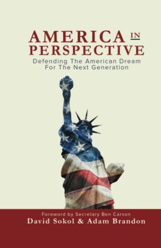 Imagen de archivo de America in Perspective: Defending the American Dream for the Next Generation a la venta por SecondSale
