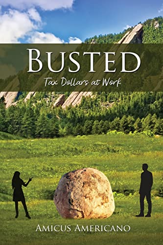 Beispielbild fr Busted (Tax Dollars at Work) zum Verkauf von GreatBookPrices