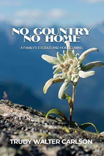 Stock image for No Country No Home: A Family's Exodus and Homecoming for sale by Lucky's Textbooks