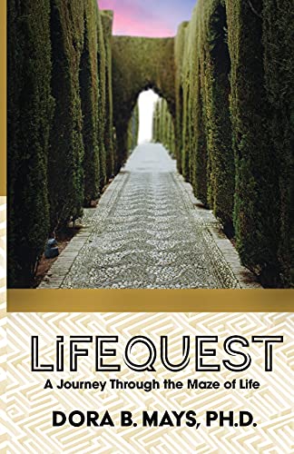 Imagen de archivo de LifeQuest: A Journey Through the Maze of Life a la venta por BooksRun
