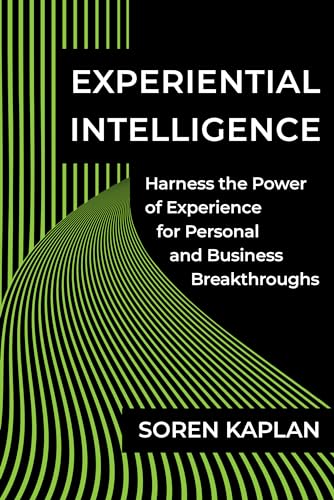 Imagen de archivo de Experiential Intelligence: Harness the Power of Experience for Personal and Business Breakthroughs a la venta por BooksRun