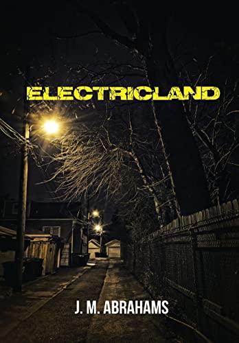 Beispielbild fr Electricland zum Verkauf von WorldofBooks