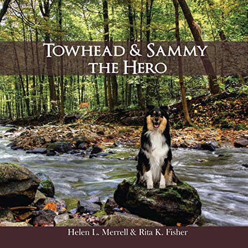 Stock image for Towhead and Sammy The Hero for sale by Lucky's Textbooks