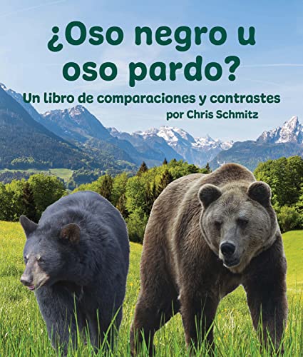 Stock image for Oso negro u oso pardo?/ Black Bear or Grizzly Bear? -Language: Spanish for sale by GreatBookPrices