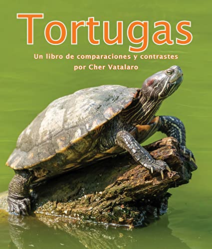 Stock image for Tortugas/ Turtles -Language: Spanish for sale by GreatBookPrices