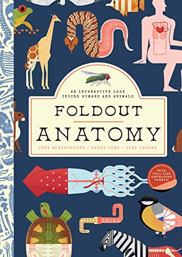 Stock image for Foldout Anatomy: An Interactive Look Inside Humans and Animals for sale by Seattle Goodwill