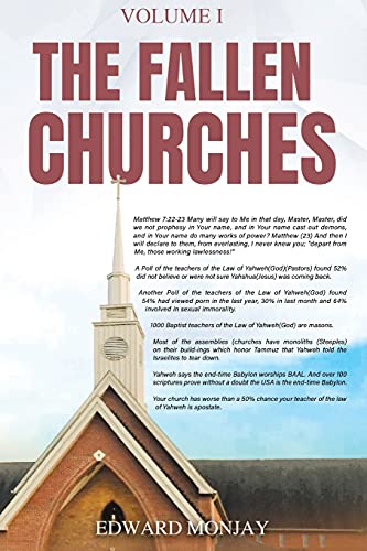 Stock image for The Fallen Churches Vol. I for sale by Books Puddle