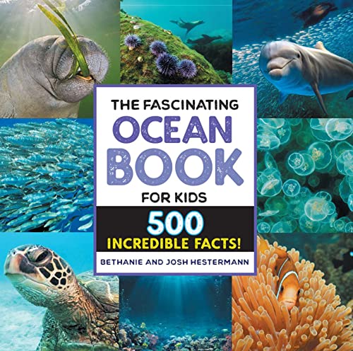 Beispielbild fr The Fascinating Ocean Book for Kids zum Verkauf von Blackwell's