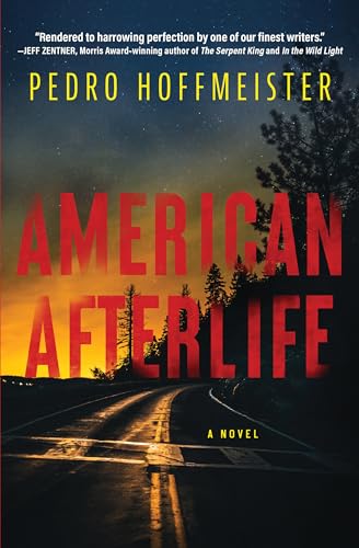 Beispielbild fr American Afterlife: A Novel zum Verkauf von BooksRun