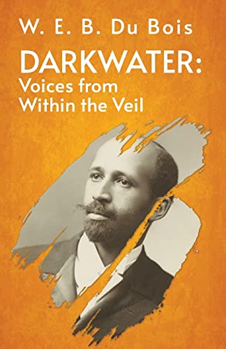 Imagen de archivo de Darkwater Voices From Within The Veil a la venta por Lakeside Books