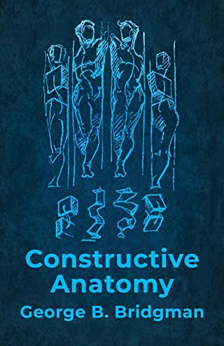 Beispielbild fr Constructive Anatomy Includes Nearly 500 Illustrations zum Verkauf von Lakeside Books