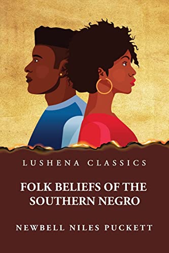 Stock image for Folk Beliefs of the Southern Negro for sale by PBShop.store US