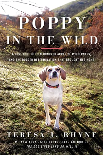 Stock image for Poppy in the Wild: A Lost Dog, Fifteen Hundred Acres of Wilderness, and the Dogged Determination that Brought Her Home for sale by PlumCircle