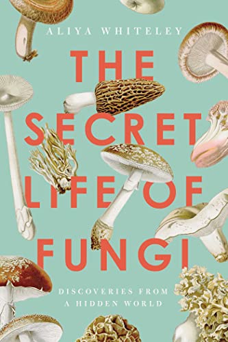 Stock image for The Secret Life of Fungi: Discoveries From a Hidden World for sale by Bellwetherbooks