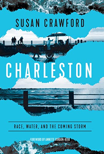 Imagen de archivo de Charleston: Race, Water, and the Coming Storm a la venta por Bellwetherbooks