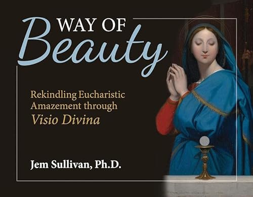 Stock image for Way of Beauty : Rekindling Eucharistic Amazement Through VISIO Divina for sale by Better World Books
