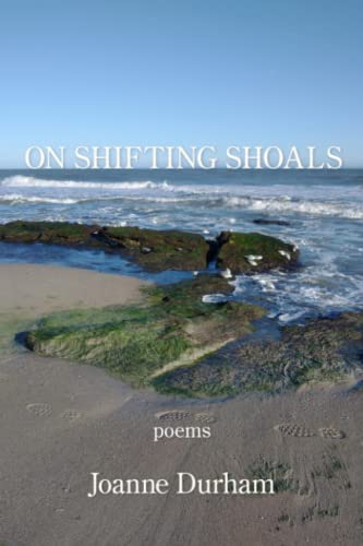 Imagen de archivo de On Shifting Shoals a la venta por GreatBookPrices