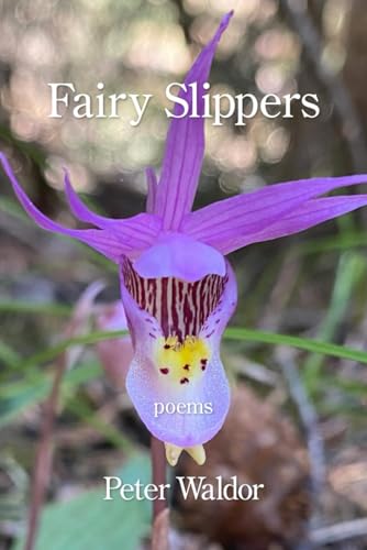 Beispielbild fr Fairy Slippers zum Verkauf von THE SAINT BOOKSTORE