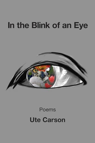 Stock image for In the Blink of an Eye for sale by GF Books, Inc.